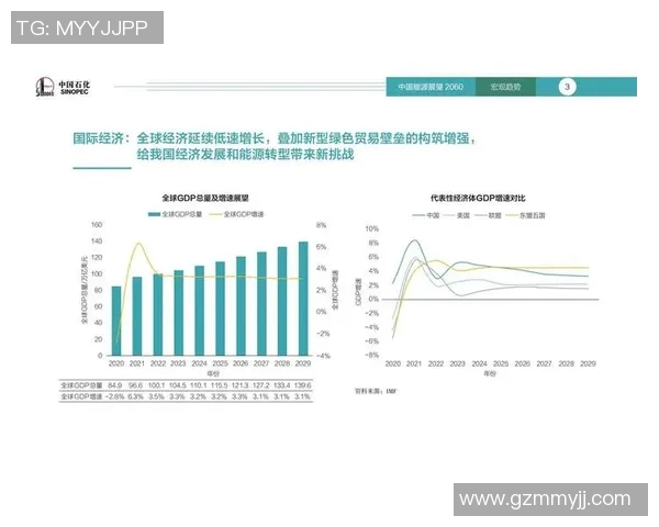 阿贾克斯足球俱乐部的辉煌历史与未来发展展望分析